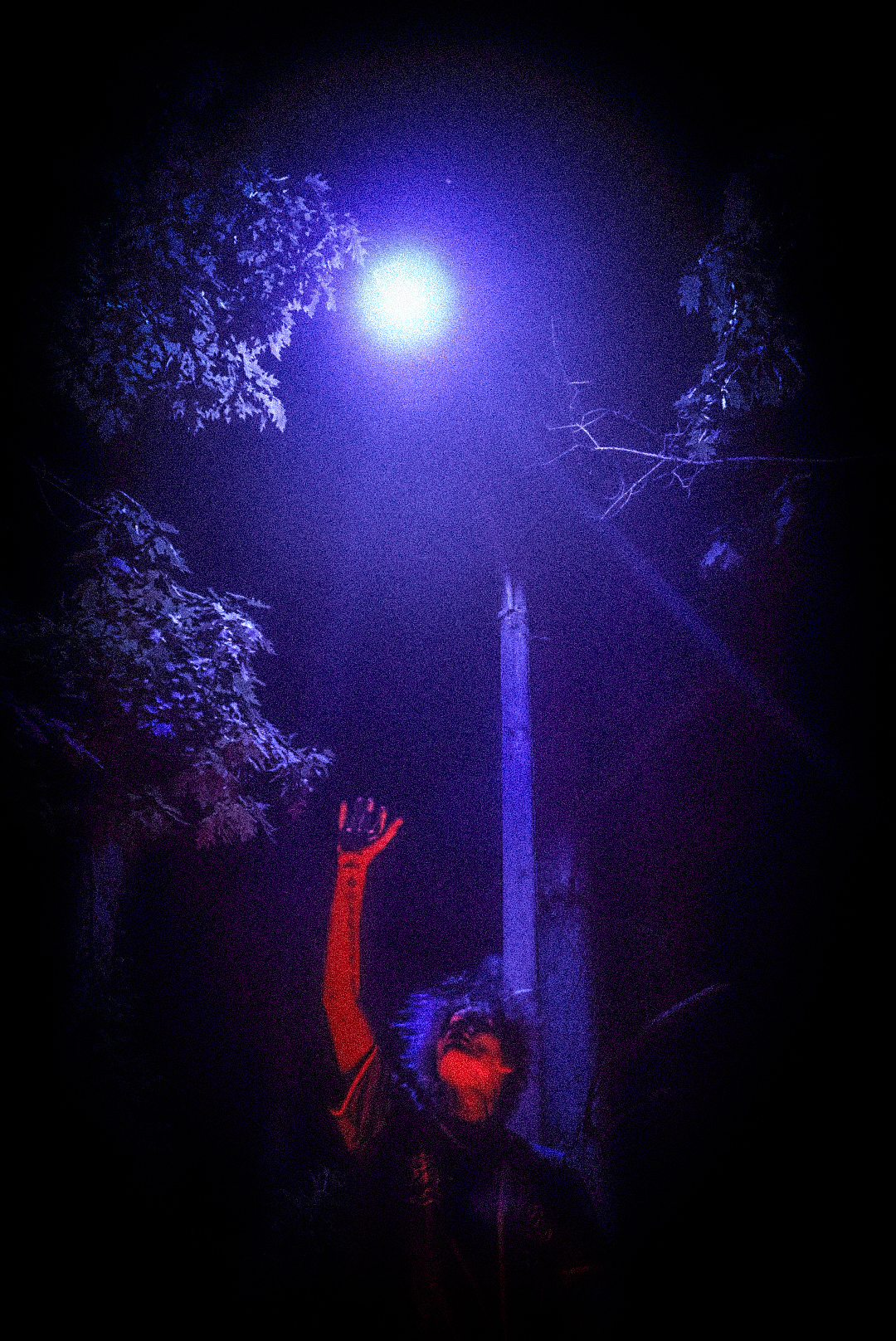 Forsaken streetlight scene